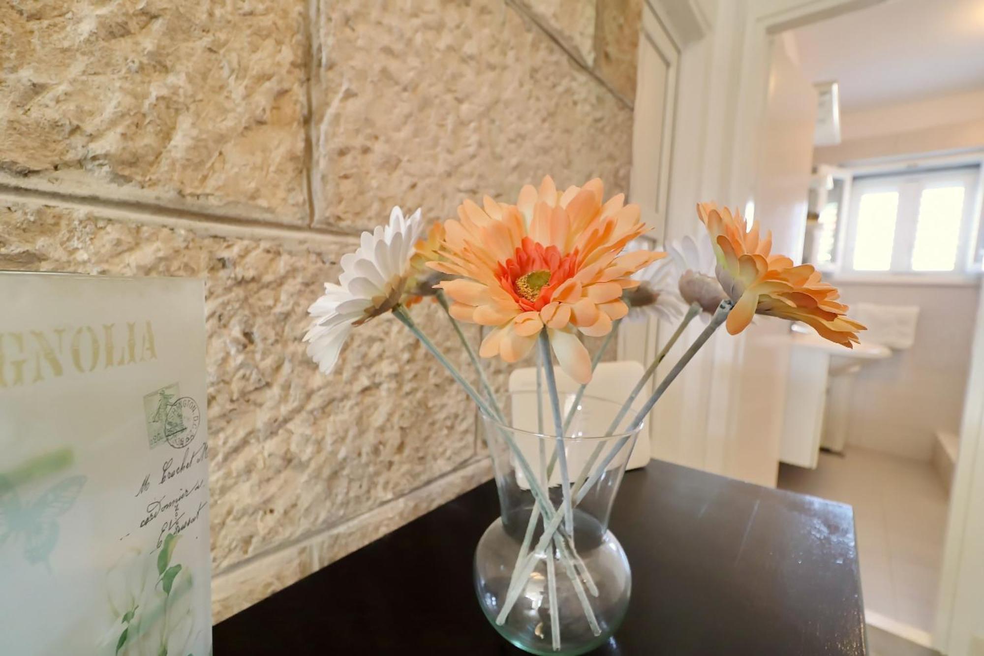 Villa Ivana Zrnovo Bagian luar foto